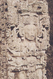 St&egrave;le repr&eacute;sentant le roi K'ac Yipyaj Chan K'awil, &agrave; Copan (photo : Lord Alfred Percival Maudslay)