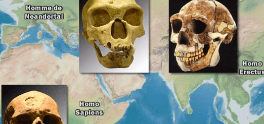 Vincent Boqueho raconte la haute Antiquit&eacute;... Des origines au Pal&eacute;olithique (Herodote.net, 2014)