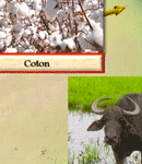 Vincent Boqueho raconte la haute Antiquit&eacute;