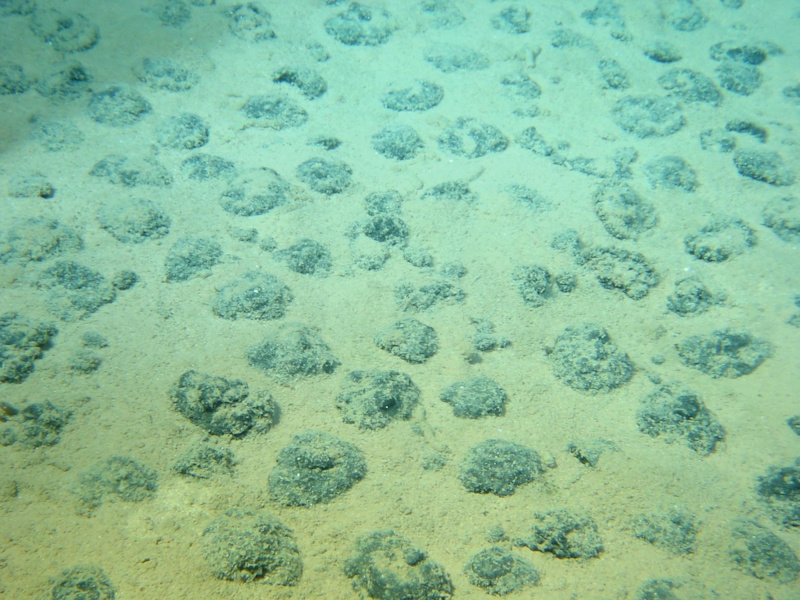 Nodules polymétalliques dans l'océan Pacifique