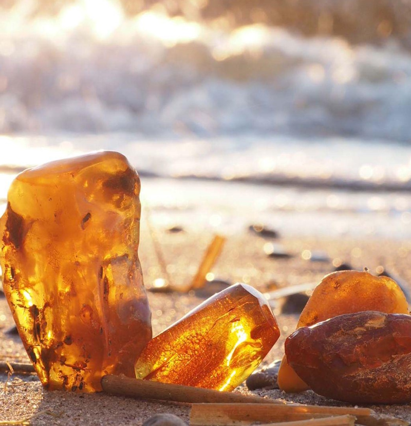 Échantillons d'ambre sur une plage scandinave