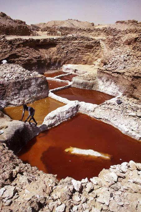 Les salines de Bilma, dans le nord-est du Niger