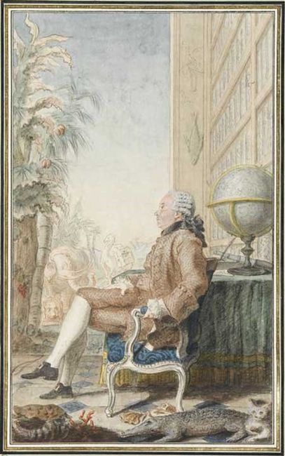 M. de Buffon. Aquarelle de Carmontelle, 1769 (musée Condé)