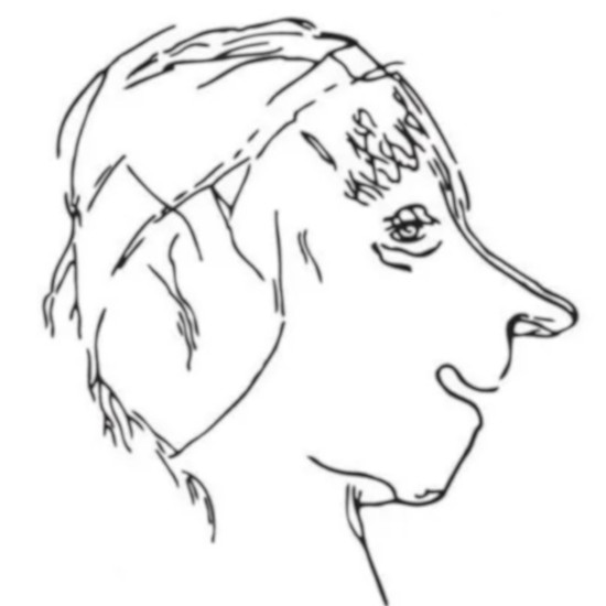 Relevés et dessins d'après une roche gravée, grotte de la Marche, Lussac-les-Châteaux, vers 15 000 av. J.-C.