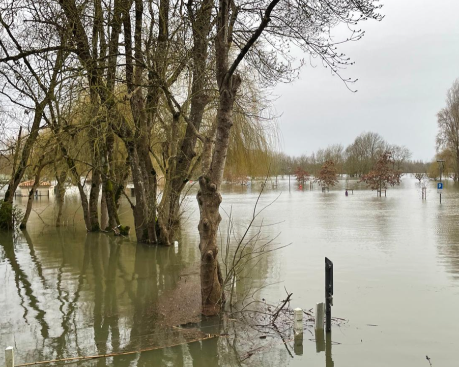 La Charente en crue aux environs de Saintes (février 2026,  photo : Isabelle Grégor)