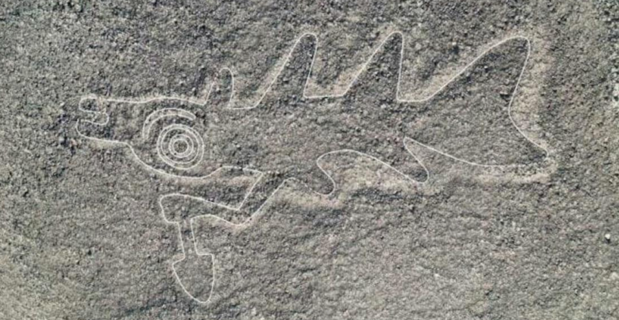 Géoglyphe représentant un poisson tenant un poignard, région de Nazca, 100 avant J.-C. à 700 après J.-C.