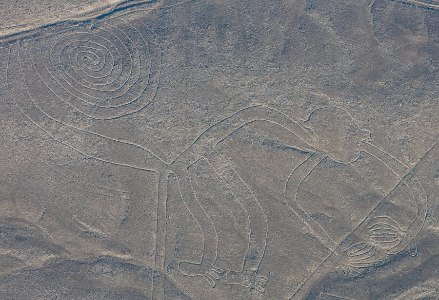 Géoglyphe représentant un singe (93 mètres de long de long), région de Nazca, 100 avant J.-C. à 700 après J.-C.
