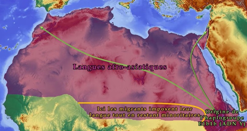 Expansion des langues afro-asiatiques à partir de l'Éthiopie il y a un peu plus de dix mille ans