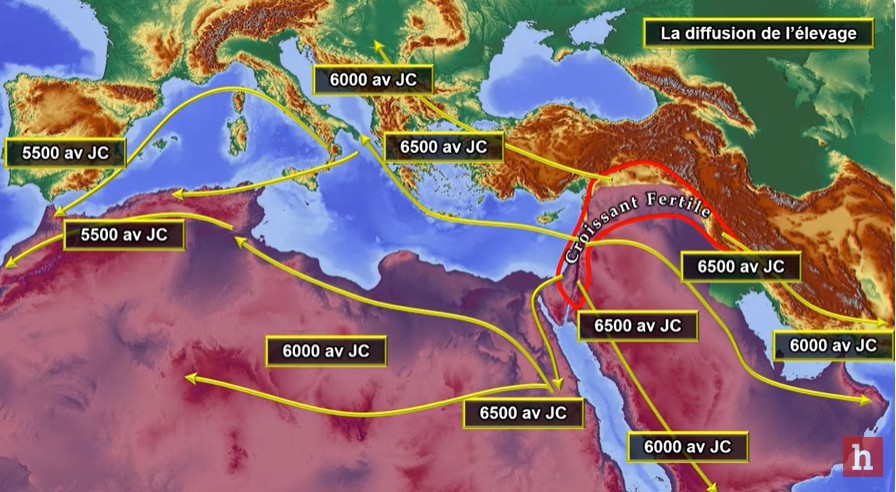 La diffusion de l'élevage à partir du Croissant fertile
