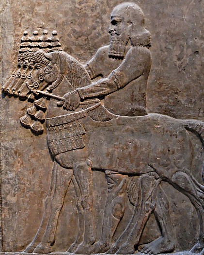Écuyer conduisant des chevaux, bas-relief du palais de Khorsabad, Assyrie, VIIIe av. J.C. - 