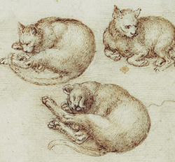 Chats (L&eacute;onard de Vinci)