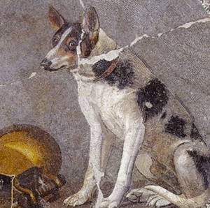 Mosa�que, 200-100 av. J.-C., Alexandrie, Mus&eacute;e national