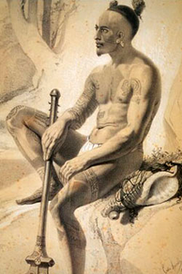 Les aventuriers des mers du Sud