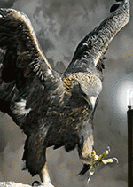 RV de l'Histoire 2015