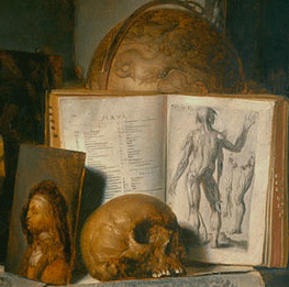 Simon Luttichuys, Vanit&eacute; avec cr&acirc;ne, 1645, coll. part